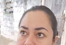 Autoridades dialogarán con propietario perro Husky que agredió a mujer