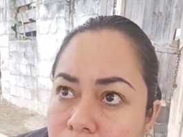 Autoridades dialogarán con propietario perro Husky que agredió a mujer