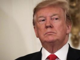 Trump amenaza con atacar por tierra a cárteles mexicanos