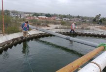 Atendió COMAPA limpieza de clarificadores de la planta Rancho Grande