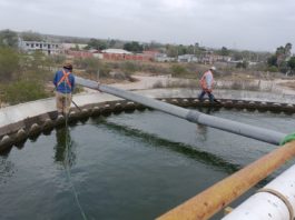 Atendió COMAPA limpieza de clarificadores de la planta Rancho Grande