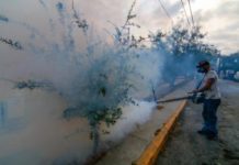 Casos de dengue se duplican en México en tan sólo una semana