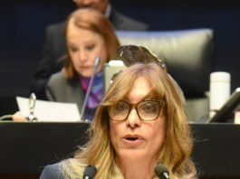 Presentó Maki Ortiz iniciativa para conmemorar Día Nacional de la Adopción Responsable de Animales de Compañía