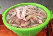 Producción de camarón no alcanza para abastecer a la población