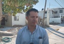 Continúan los reportes de maltrato animal en Madero