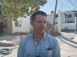 Continúan los reportes de maltrato animal en Madero