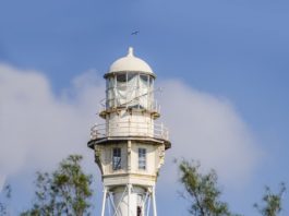 Impulsan rehabilitación del Faro de la Barra en Ciudad Madero; alcalde gestiona su restauración