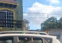Dirección de Ecología rescata un lomito encerrado en coche bajo el sol