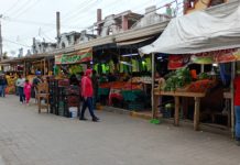 Recomienda no demoler el Mercado Madero por su valor histórico y solidez estructural