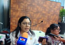 No es una cortina de humo lo relacionado con el ex gobernador Cabeza de Vaca: Lucero Desosdady