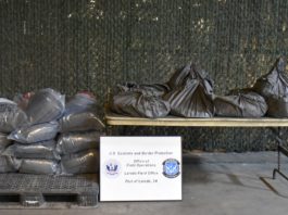 Caen en Laredo casi 6 millones de dólares en droga