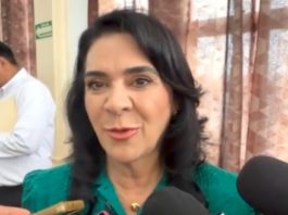 No afecta mangle proyecto de construcción de hotel: Mónica Villarreal Anaya