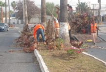 Trabaja Gobierno de Carlos Peña Ortiz por una Reynosa limpia