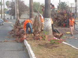 Trabaja Gobierno de Carlos Peña Ortiz por una Reynosa limpia