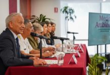 Un buque y dos chapopoteras naturales, la causa de la emanación de hidrocarburos en Veracruz y Tabasco: GI