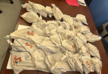 Decomisan en puente internacional 39 pitones vivas