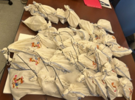 Decomisan en puente internacional 39 pitones vivas