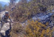 Avanza al 70 % el control del incendio forestal “Puerto del Volcán” en Miquihuana