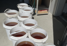 Decomisan en puente Juárez-Lincoln 461 kilos de insecticida