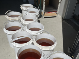 Decomisan en puente Juárez-Lincoln 461 kilos de insecticida