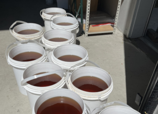 Decomisan en puente Juárez-Lincoln 461 kilos de insecticida