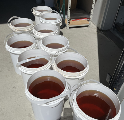 Decomisan en puente Juárez-Lincoln 461 kilos de insecticida