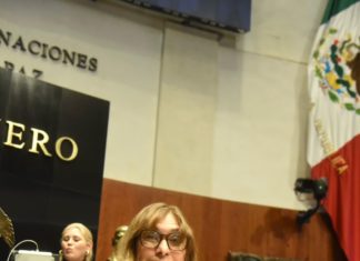 Votó pleno del Senado iniciativa de Maki Ortiz que promueve justicia ambiental