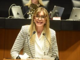 Promueve Maki Ortiz en el Senado mayor protección a ecosistemas