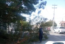 Dañaron vientos intensos red eléctrica en Reynosa sin registrarse lesionados