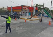 Árboles caídos, anuncios marquesina falsa desprendida deja fuerte norte en Tampico