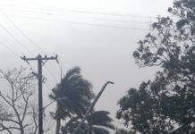 Restablece la CFE el 60% del suministro de energía eléctrica en Tamaulipas y Veracruz