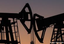 Donald Trump, calificó el aumento de los precios del petróleo como un pequeño precio por la seguridad del mundo.