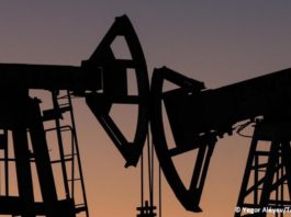 Donald Trump, calificó el aumento de los precios del petróleo como un pequeño precio por la seguridad del mundo.