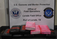 Decomisa drogas valuadas en un millón 300 mil dólares en puentes internacionales