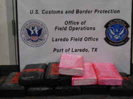 Decomisa drogas valuadas en un millón 300 mil dólares en puentes internacionales