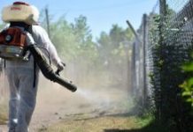 Inicia la SS con visitas casa por casa para eliminar al vector transmisor del dengue