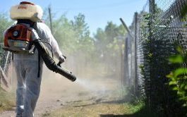 Inicia la SS con visitas casa por casa para eliminar al vector transmisor del dengue