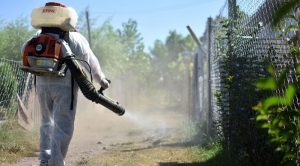 Inicia la SS con visitas casa por casa para eliminar al vector transmisor del dengue