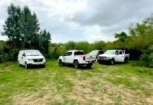 Hallan cadáver en las márgenes del río Bravo