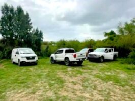 Hallan cadáver en las márgenes del río Bravo