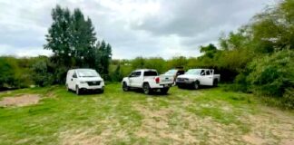 Hallan cadáver en las márgenes del río Bravo