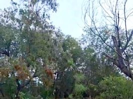 Hallan cadáver en predio abandonado de Balcones de Alcala