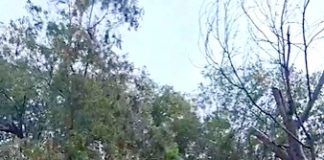 Hallan cadáver en predio abandonado de Balcones de Alcala