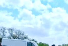 Hallan más restos óseos al parecer de humano cercas del “Viaducto de la Muerte”