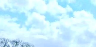 Hallan más restos óseos al parecer de humano cercas del “Viaducto de la Muerte”