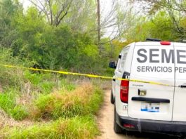 Hallan restos óseos de humano en la tétrica colonia Puerta Sur
