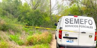 Hallan restos óseos de humano en la tétrica colonia Puerta Sur