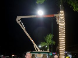 Fortalece Gobierno de Tampico el sistema de alumbrado público en diversos sectores