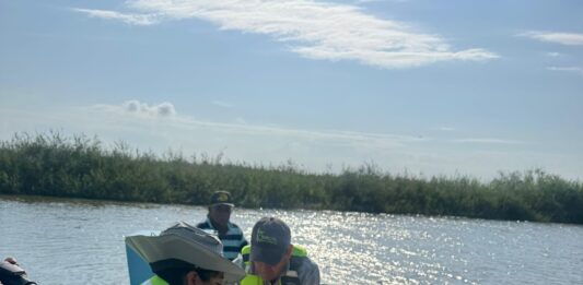 Monitorean recuperación del tular en el sistema lagunario