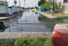 Fuga de aguas negras afecta a familias de la Revolución Verde en Madero, urge intervención de COMAPA